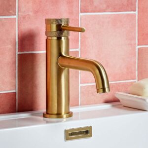 Elijah Form Brushed Brass Basin Mixer