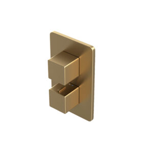 AquaSan Original Brushed Brass 1 Outlet Shower Valve