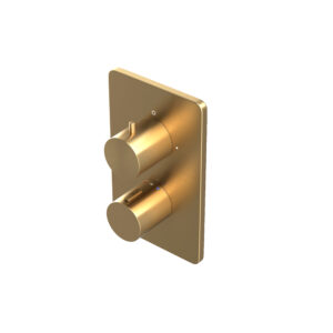 AquaSan Original Brushed Brass 1 Outlet Shower Valve / 2 Outlet Shower Valve