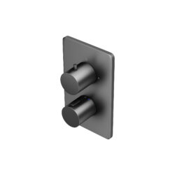 AquaSan Original Matt Anthracite 1 Outlet Shower Valve / 2 Outlet Shower Valve