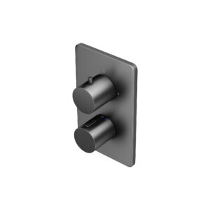 AquaSan Original Matt Anthracite 1 Outlet Shower Valve / 2 Outlet Shower Valve