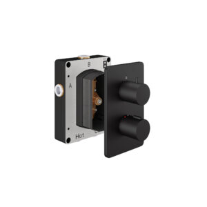 AquaSan Original Matt Black 1 Outlet Shower Valve / 2 Outlet Shower Valve